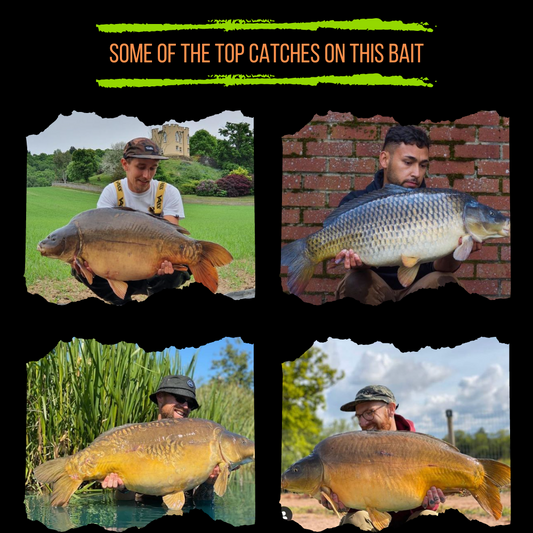 Salted Caramel & Nut Boilies (15MM)